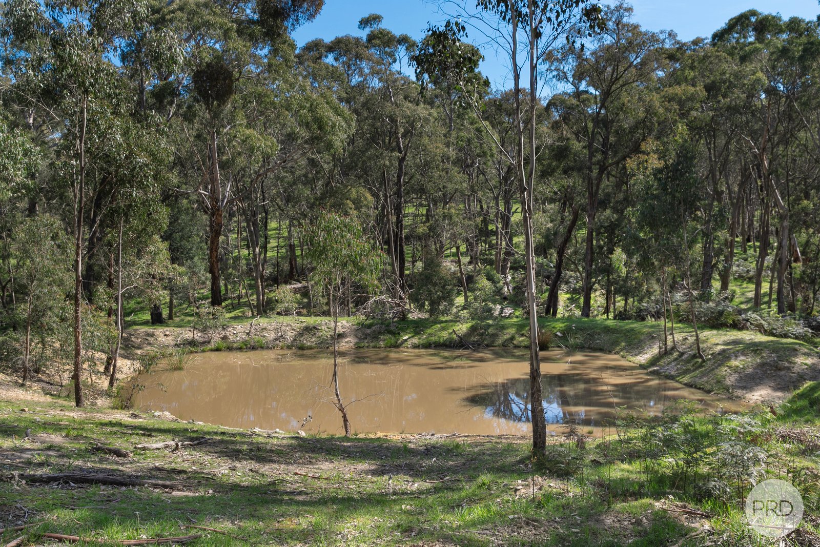 321 Mount Doran-Egerton Road MOUNT DORAN 23