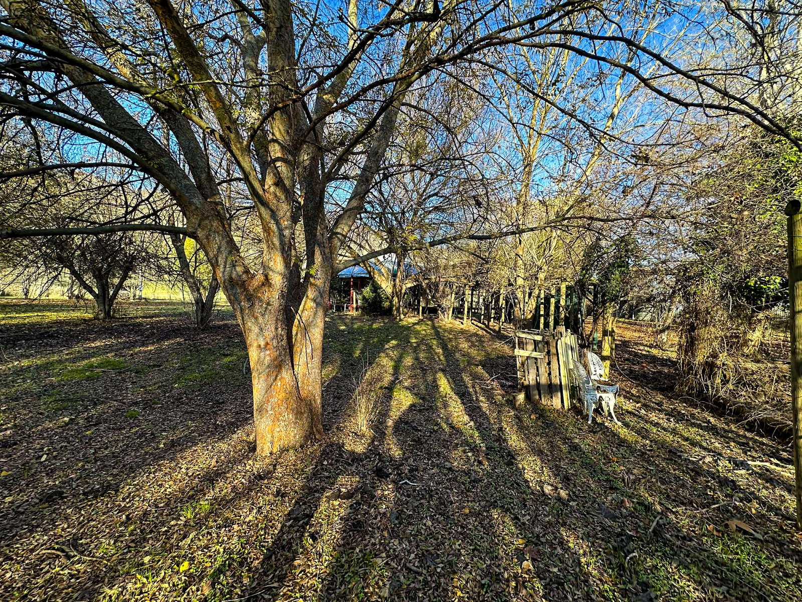 321 Mount Garland Road TOOMA 20