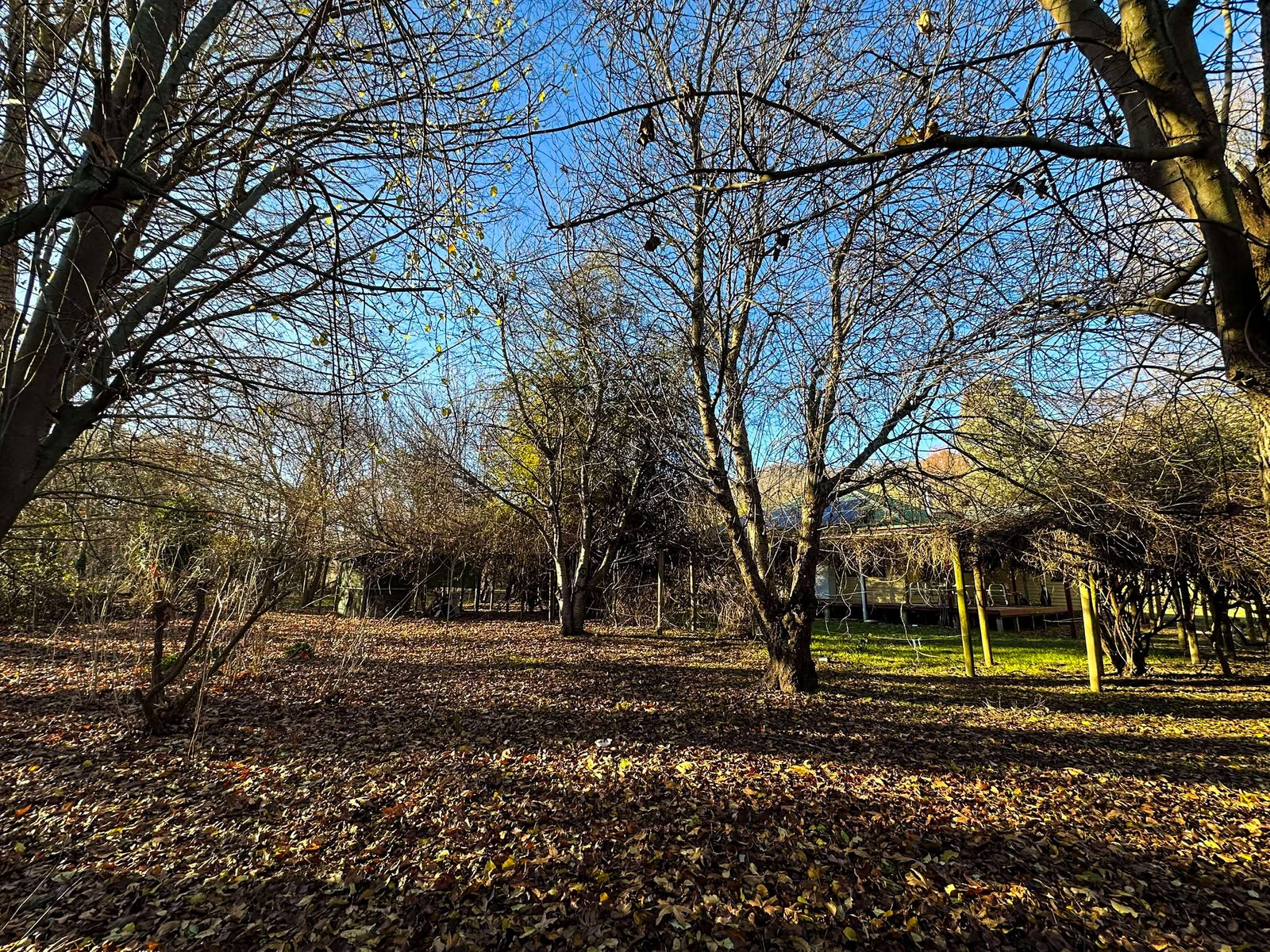 321 Mount Garland Road TOOMA 21