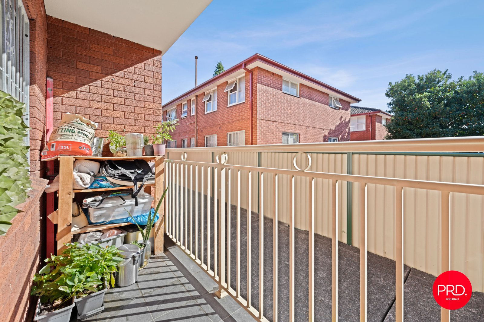 3/21 Wonga Street CANTERBURY 8