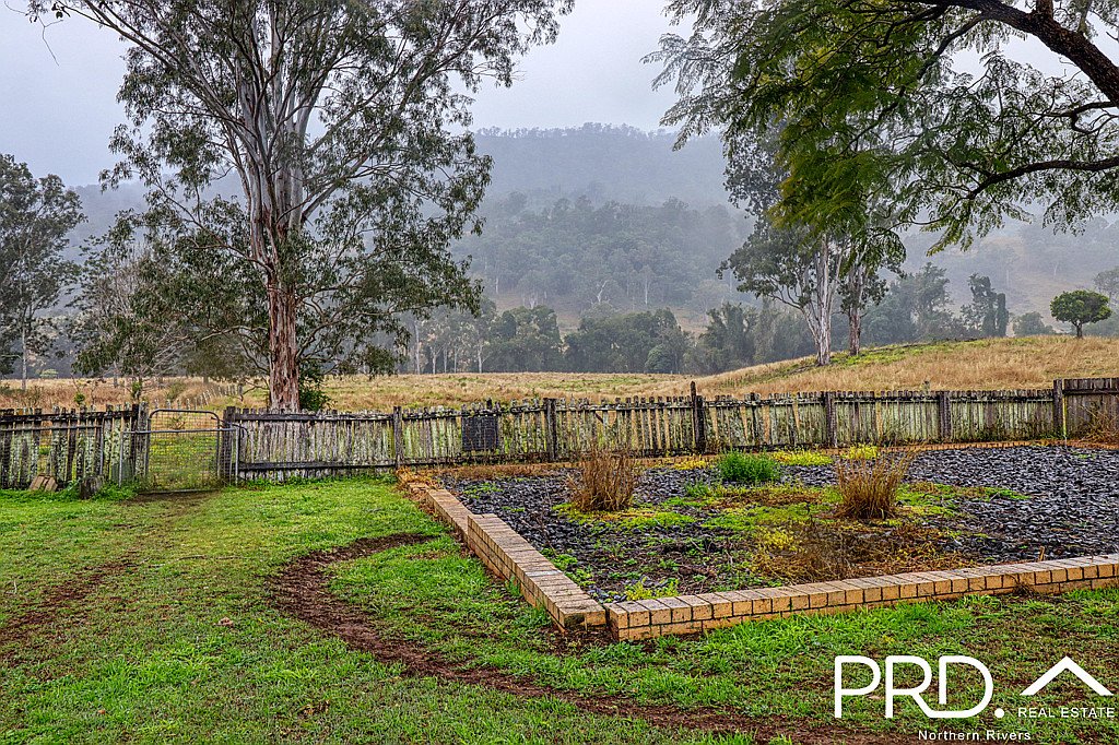 3210 Summerland Way GREVILLIA 2