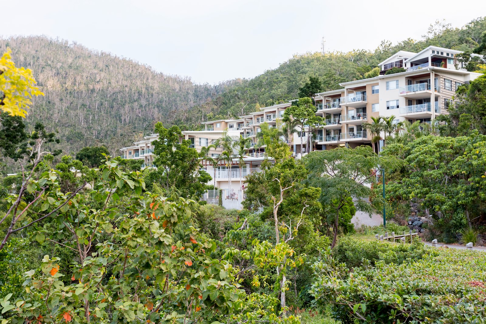 32/15 Flame Tree Court AIRLIE BEACH 7