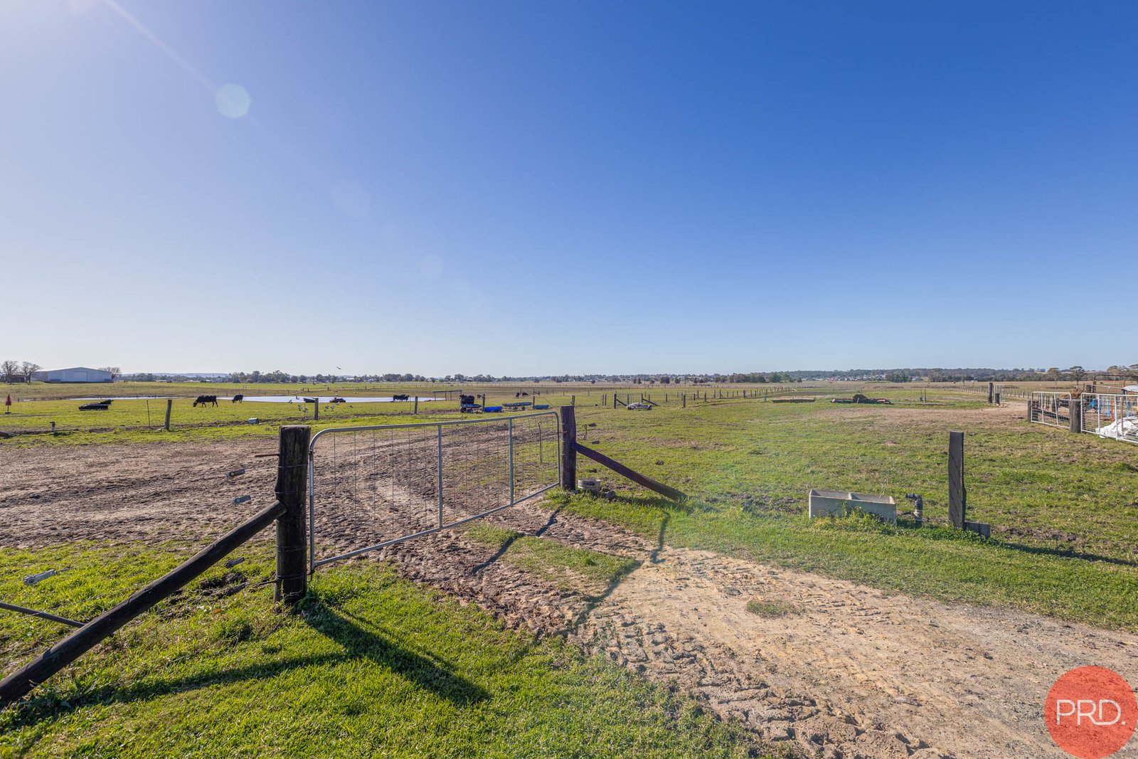 322 Louth Park Road LOUTH PARK 31