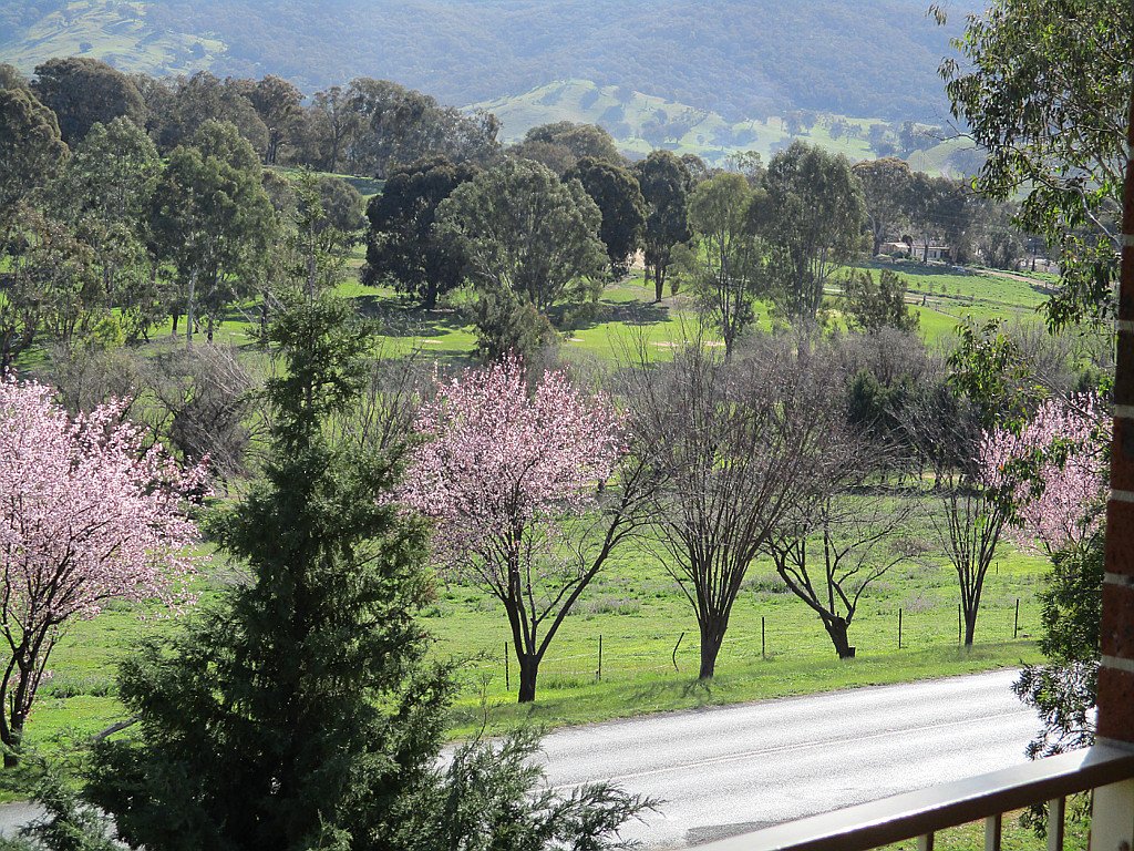 3/227 Wynyard Street TUMUT 1