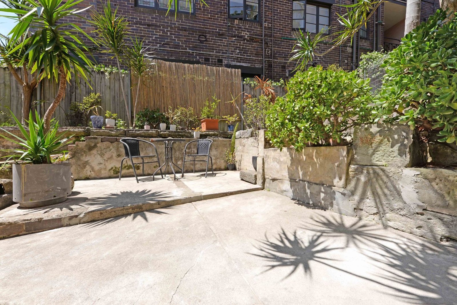 3/23 Cooper Street PADDINGTON 2