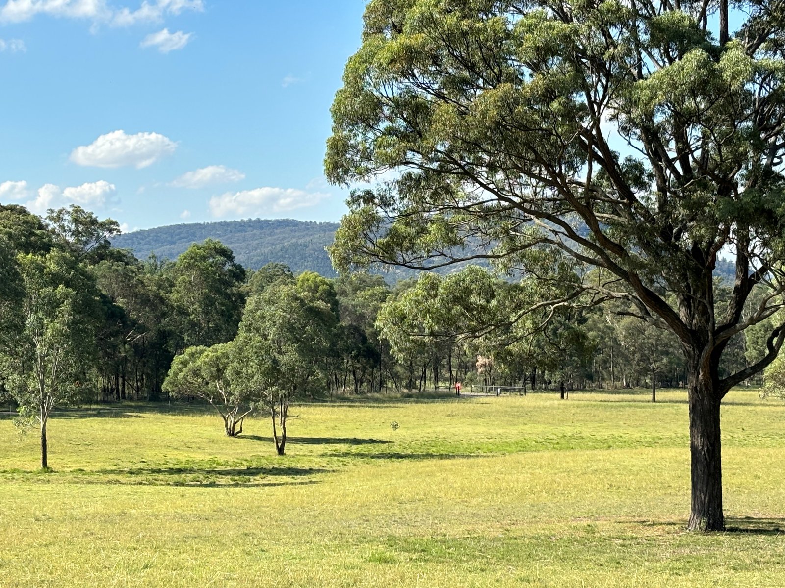 3231 Wybong Road, Hollydeen  DENMAN 22