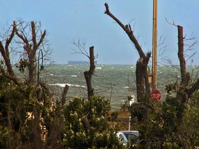 Gallery: 3/24 Foote Street