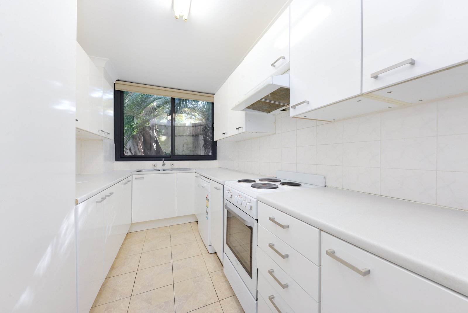 3/244 Alison Road RANDWICK 2