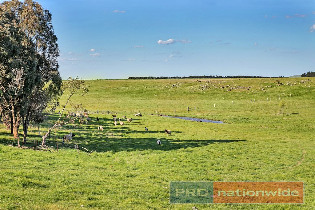 325 Clunes - Creswick Road CLUNES 16