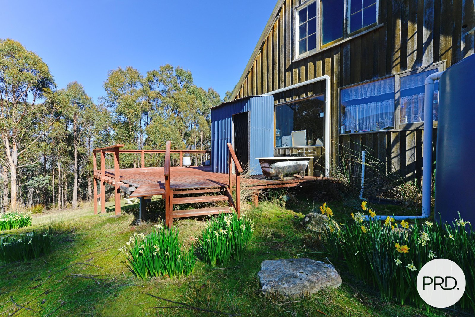 325 Douglas Road MOLESWORTH 14