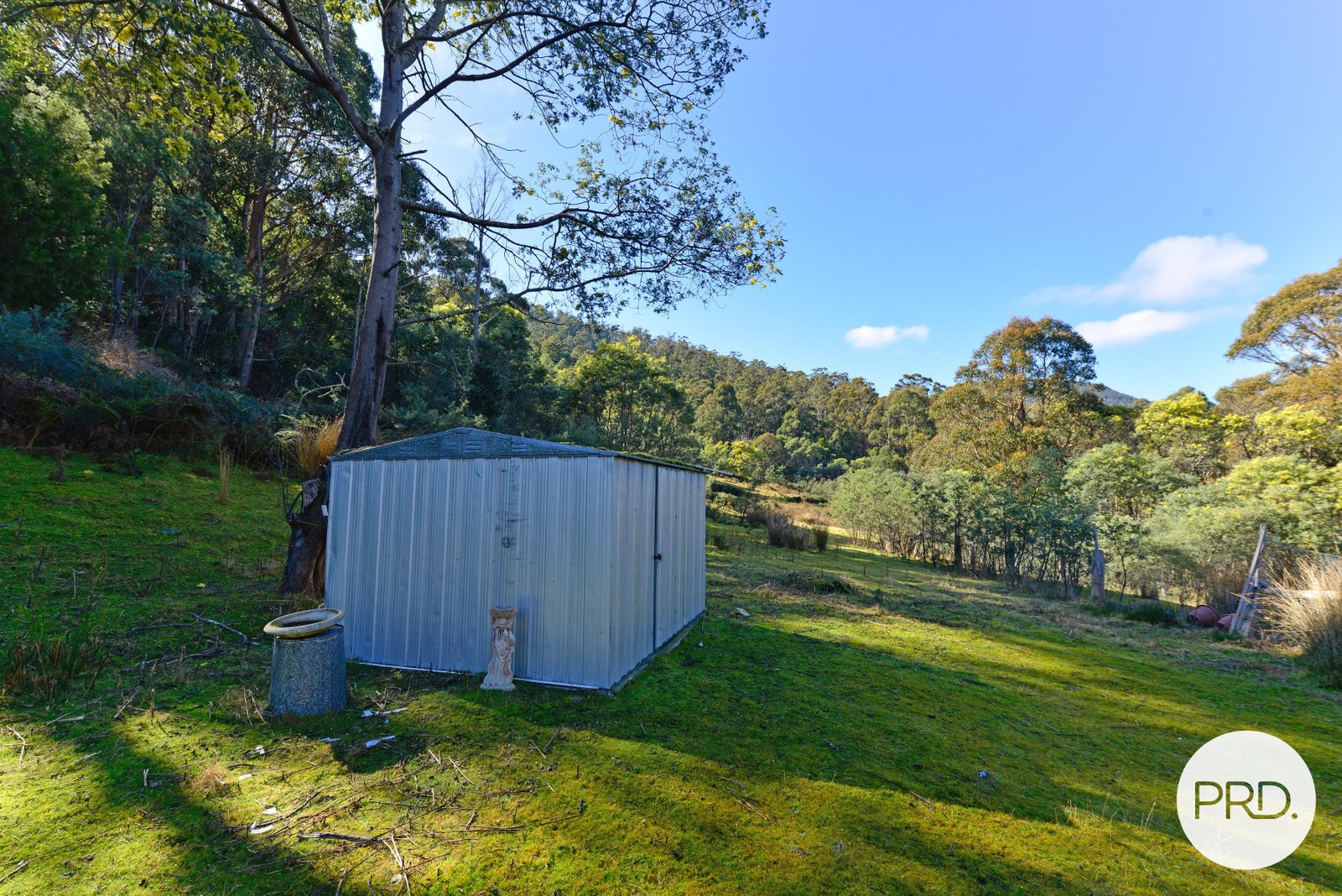 325 Douglas Road MOLESWORTH 15