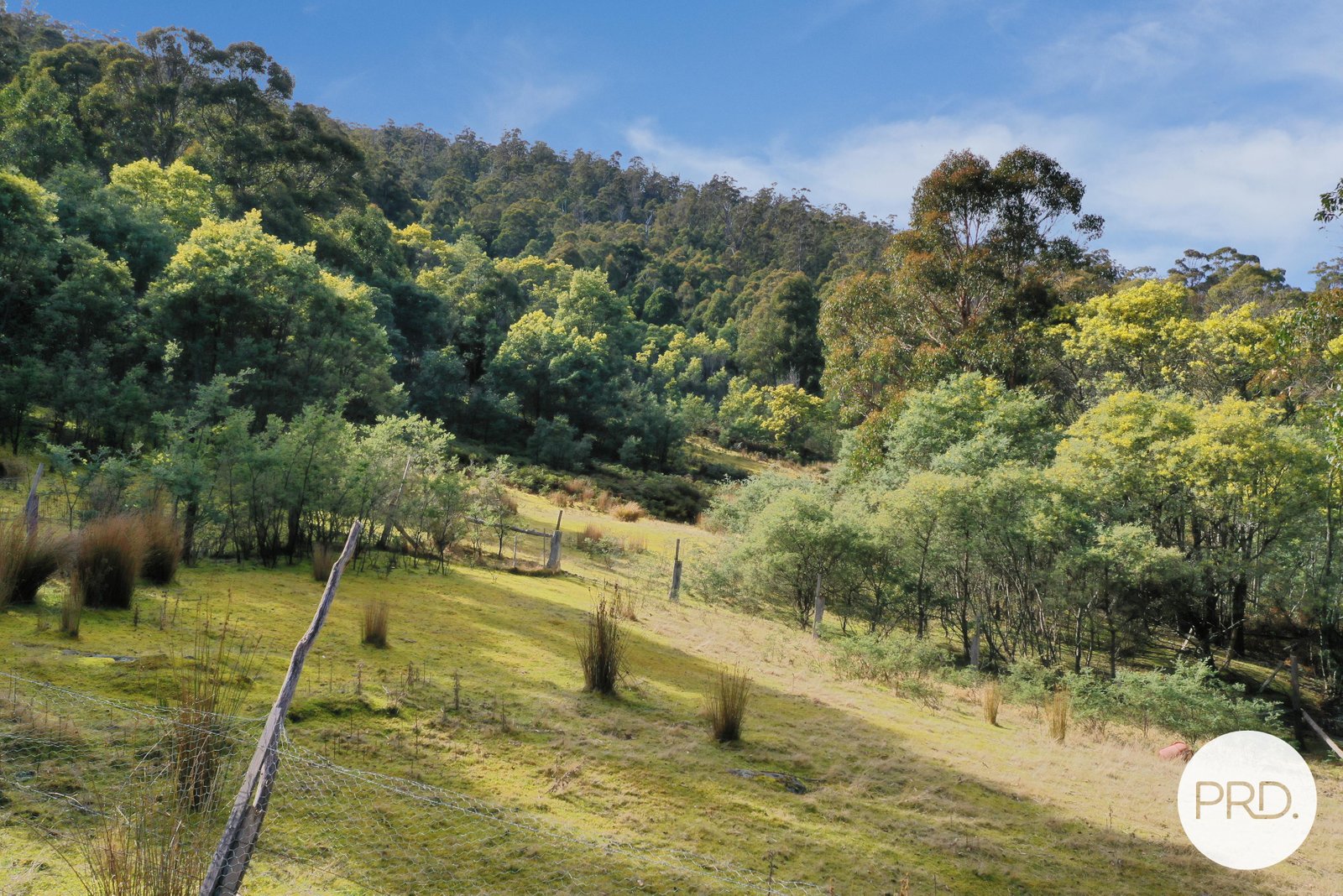 325 Douglas Road MOLESWORTH 20