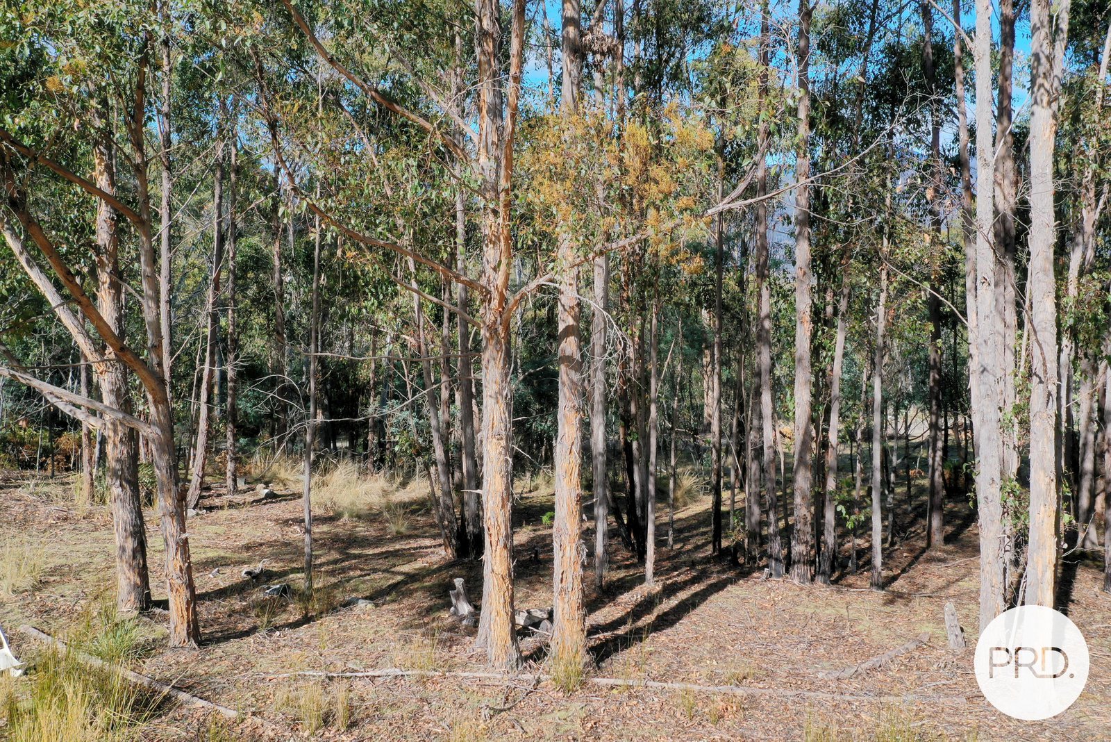 325 Douglas Road MOLESWORTH 23