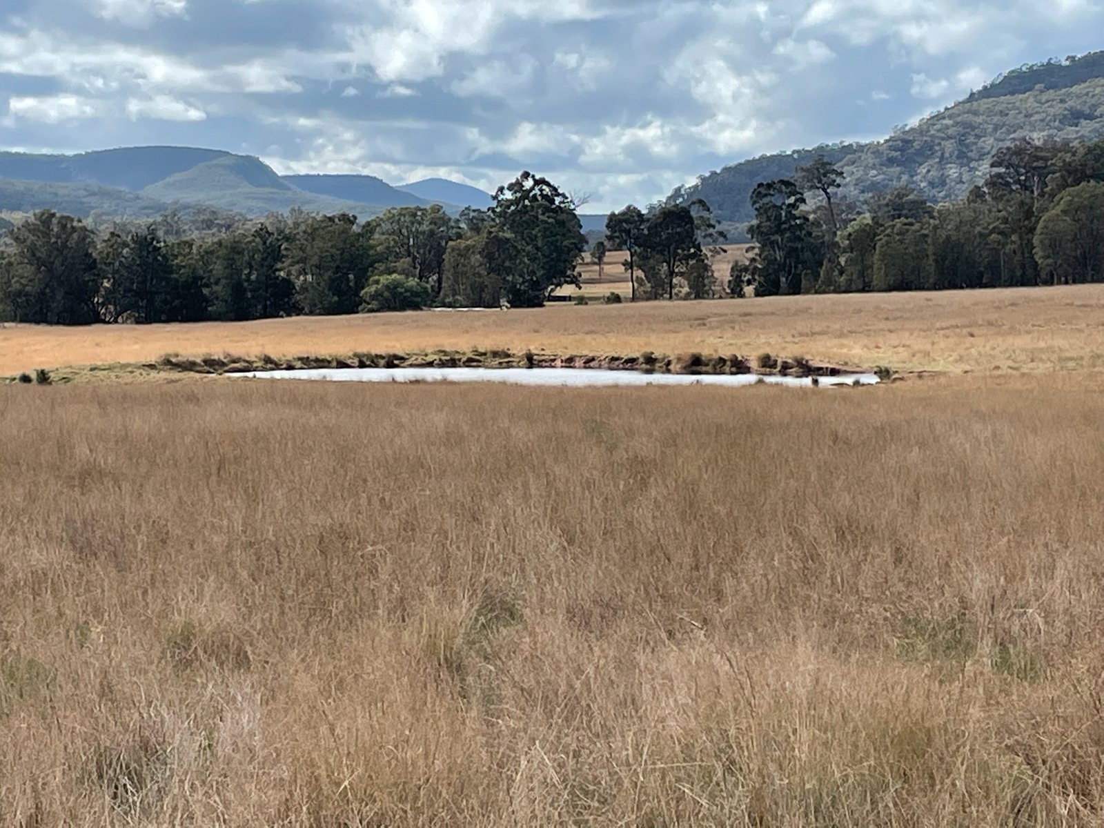 3259 Bylong Valley Way KERRABEE 3