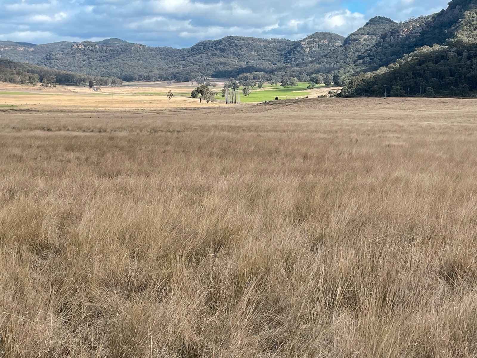 3259 Bylong Valley Way KERRABEE 11