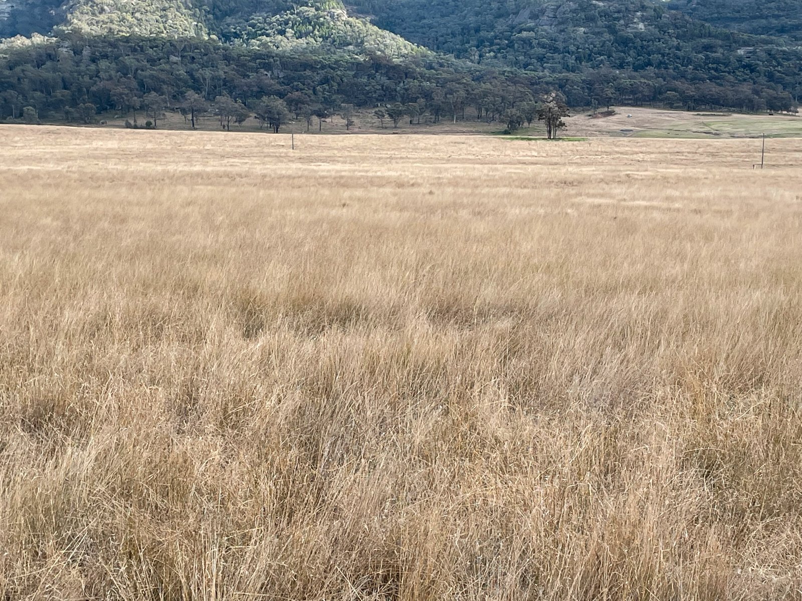 3259 Bylong Valley Way KERRABEE 13