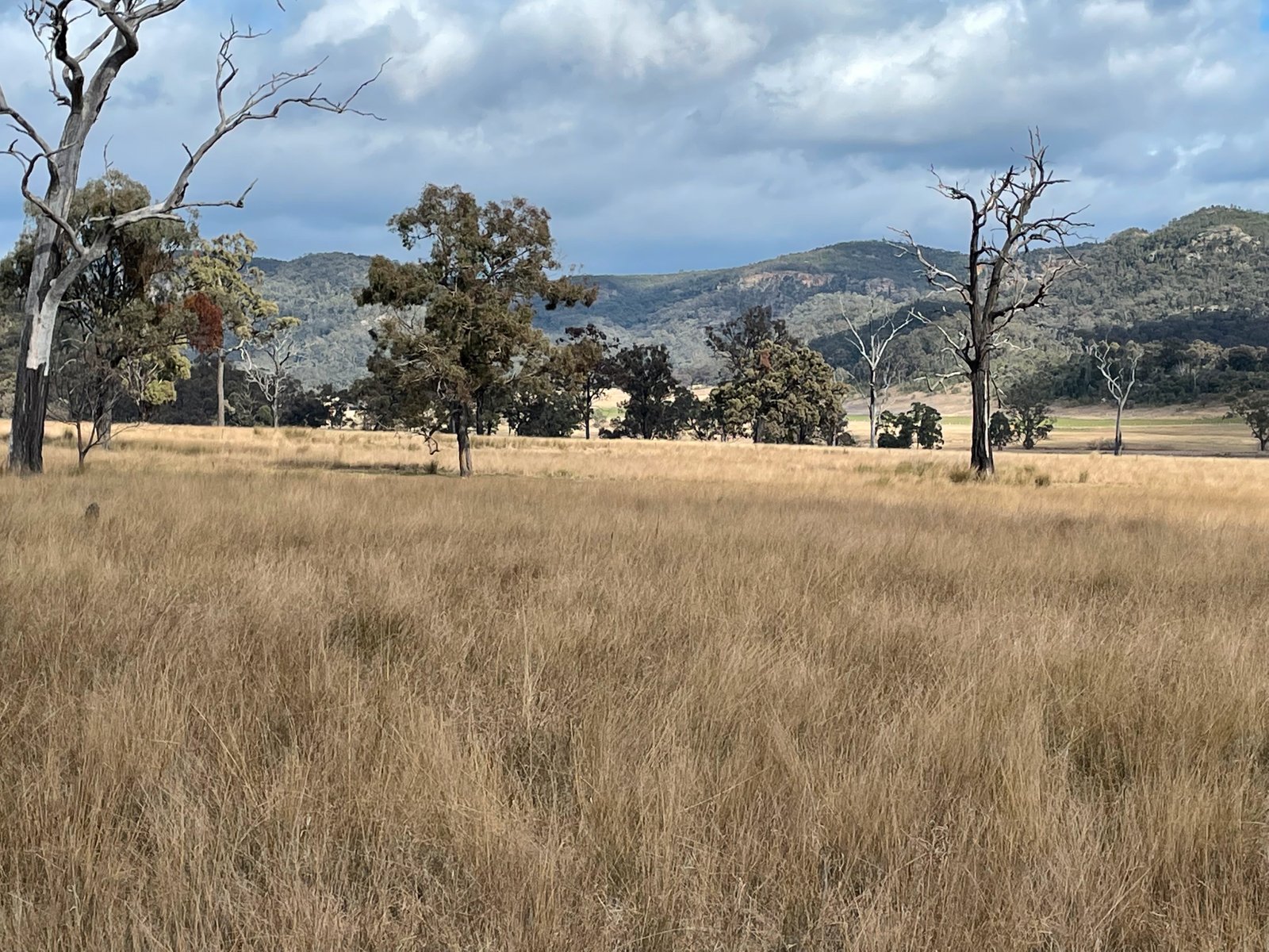 3259 Bylong Valley Way KERRABEE 15