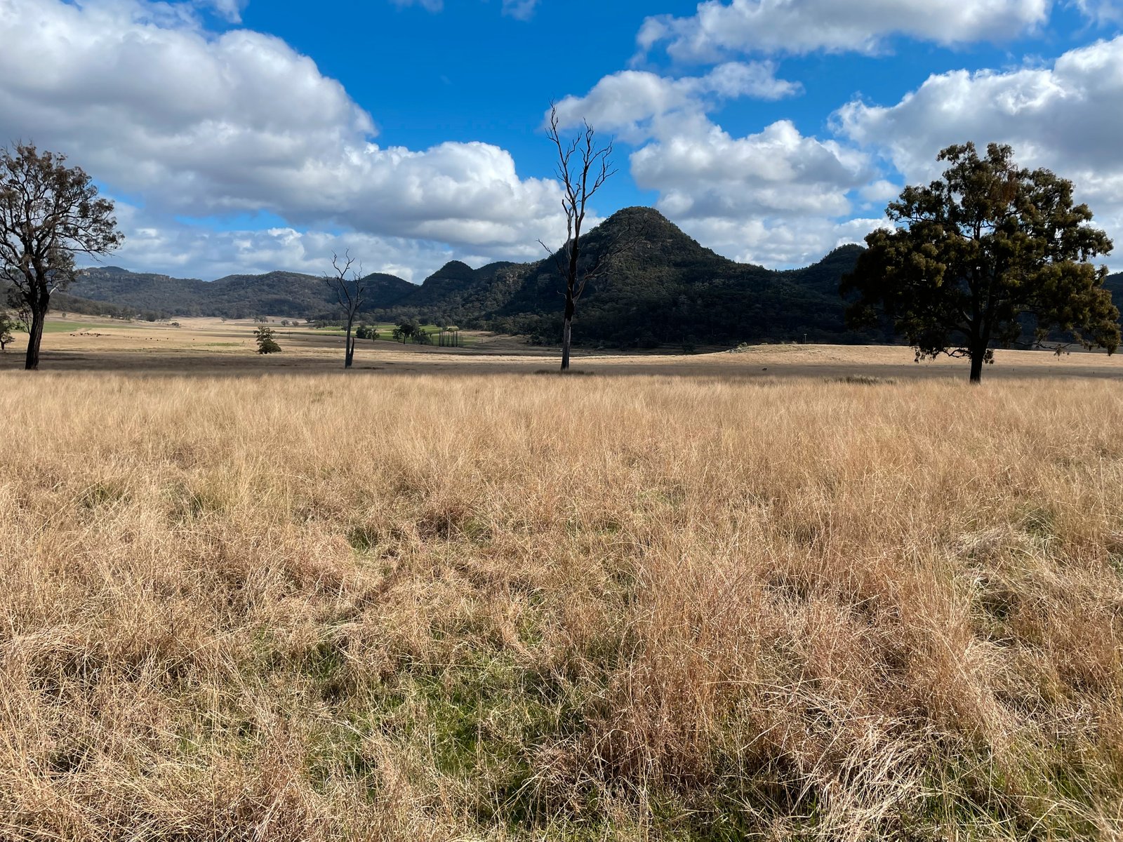 3259 Bylong Valley Way KERRABEE 17