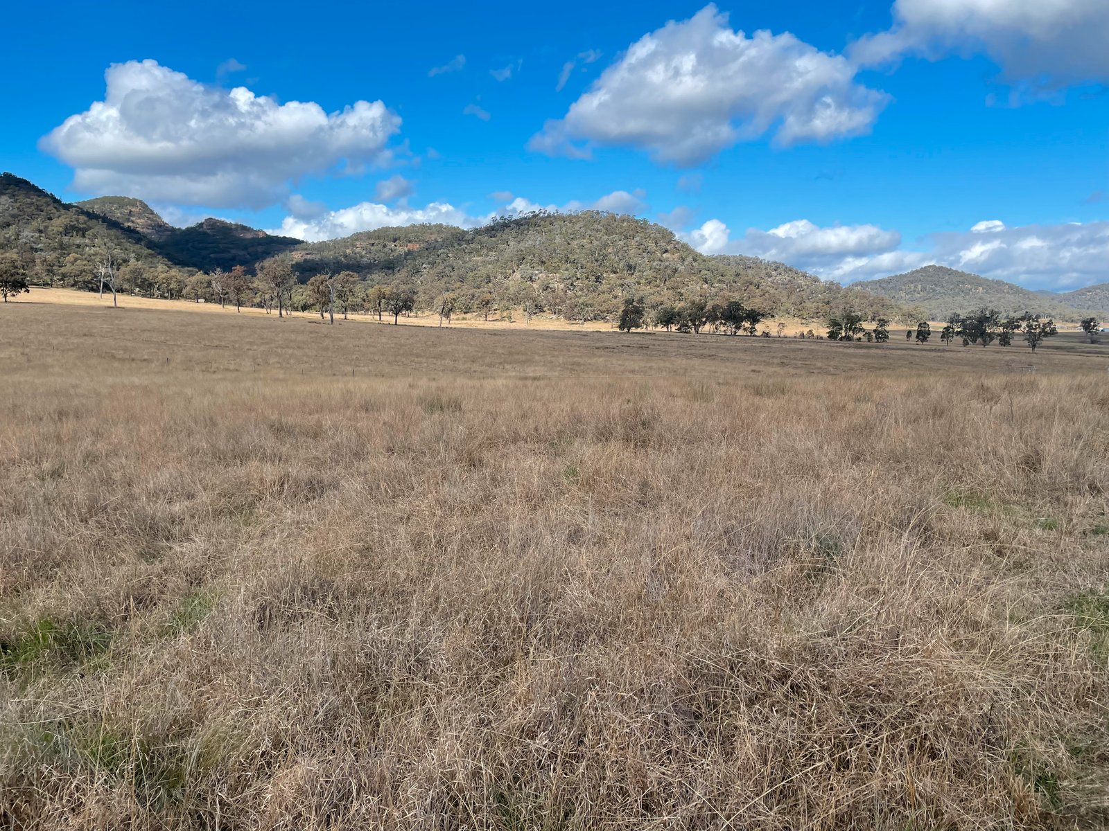 3259 Bylong Valley Way KERRABEE 29