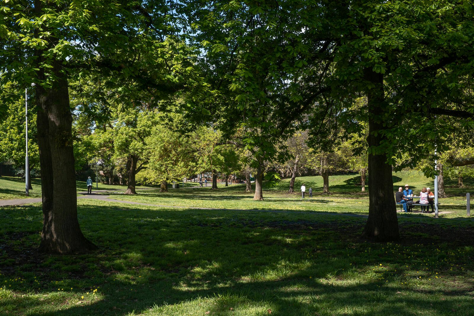 Real Estate and Property in 3/26 Weir Street, Balwyn, VIC