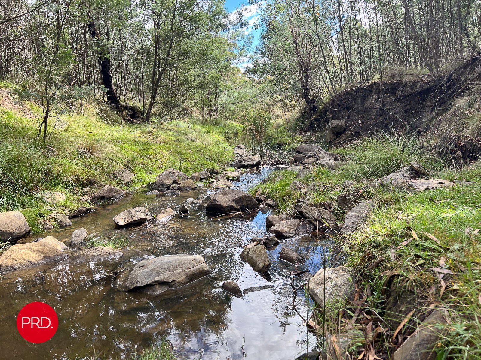 326 Widgiewa Rd  CARWOOLA 2