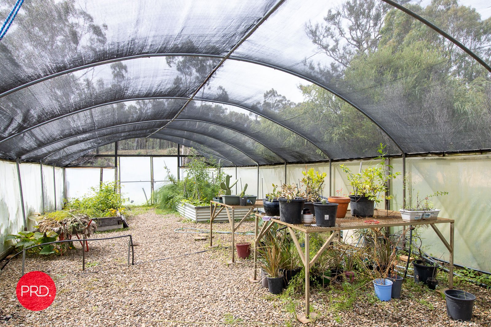 326 Widgiewa Rd  CARWOOLA 24