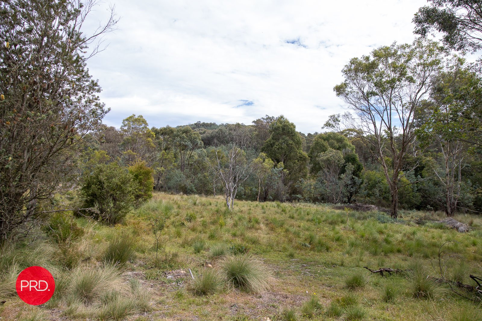 326 Widgiewa Rd  CARWOOLA 27