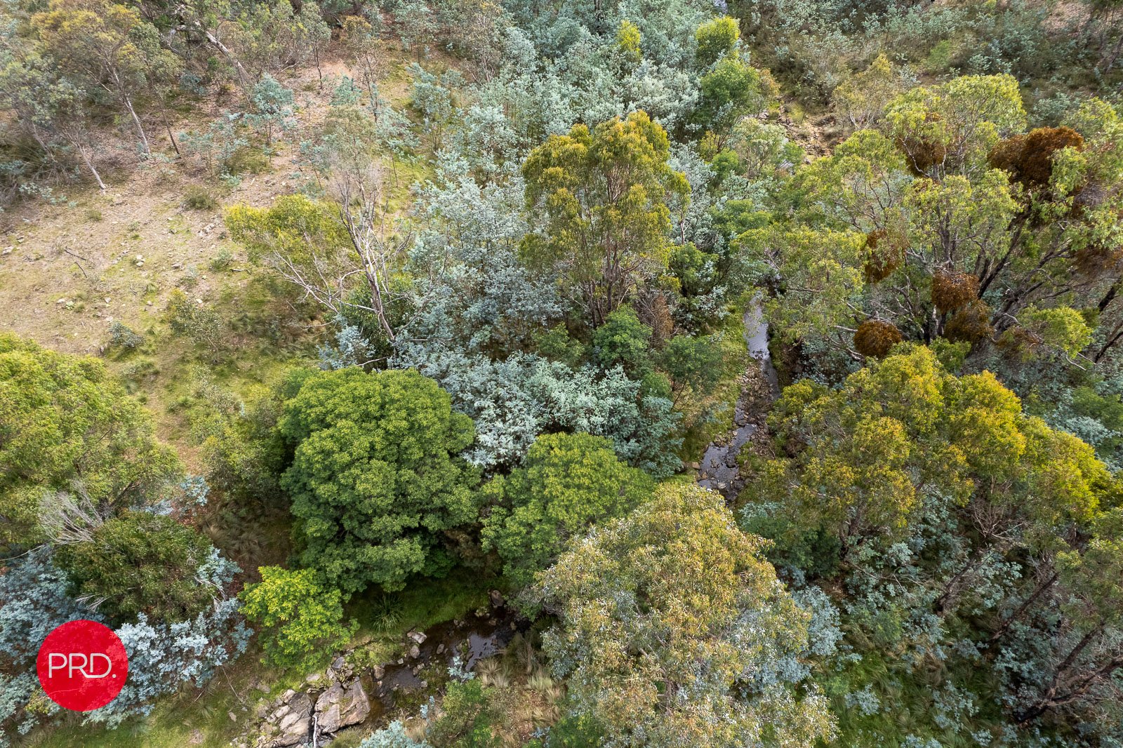 326 Widgiewa Rd  CARWOOLA 29