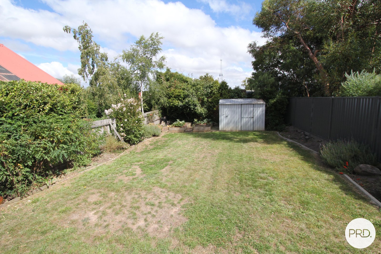 327 Armstrong Street North SOLDIERS HILL 20