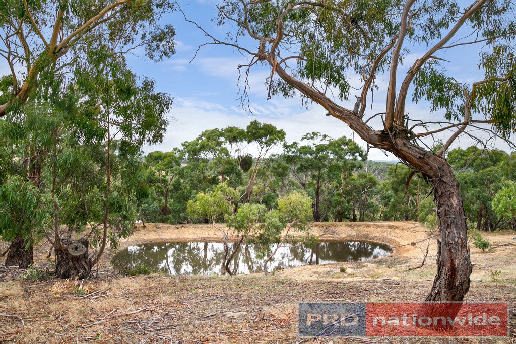 327 Berringa Road BERRINGA 5