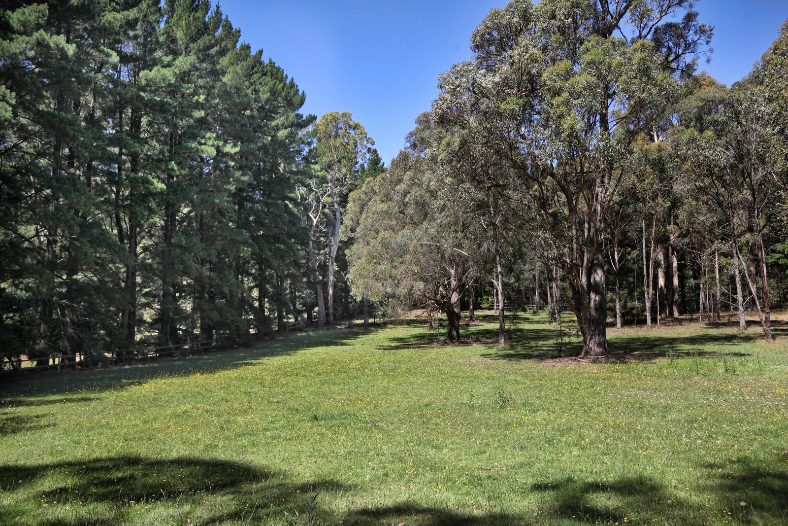 Real Estate and Property in 327 Harpers Road, Woodend, VIC