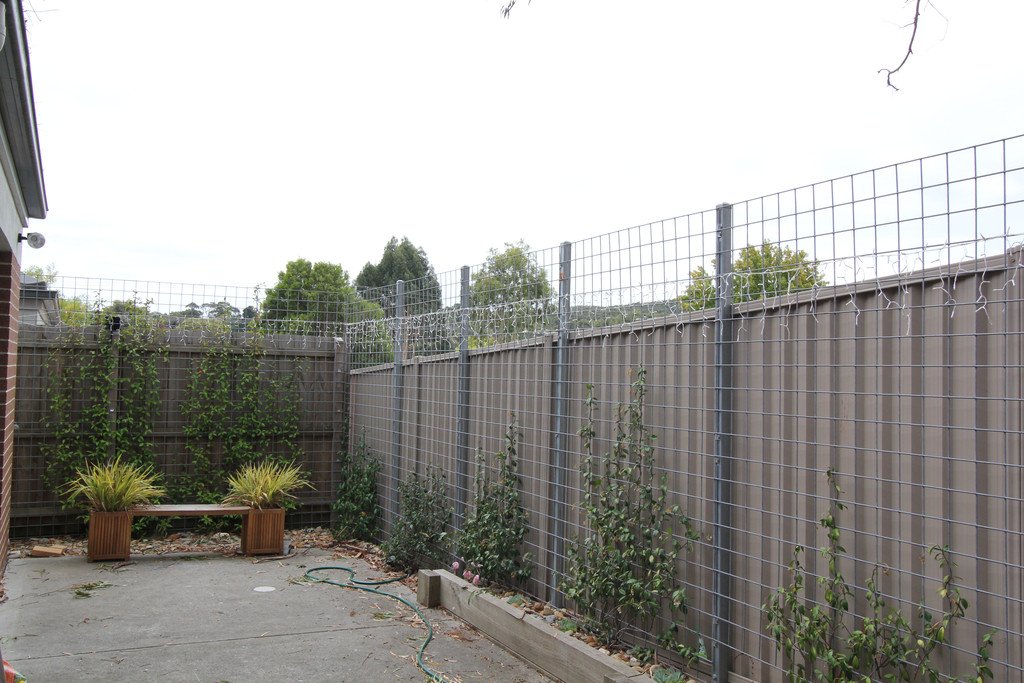 3/274 Humffray Street North BROWN HILL 13