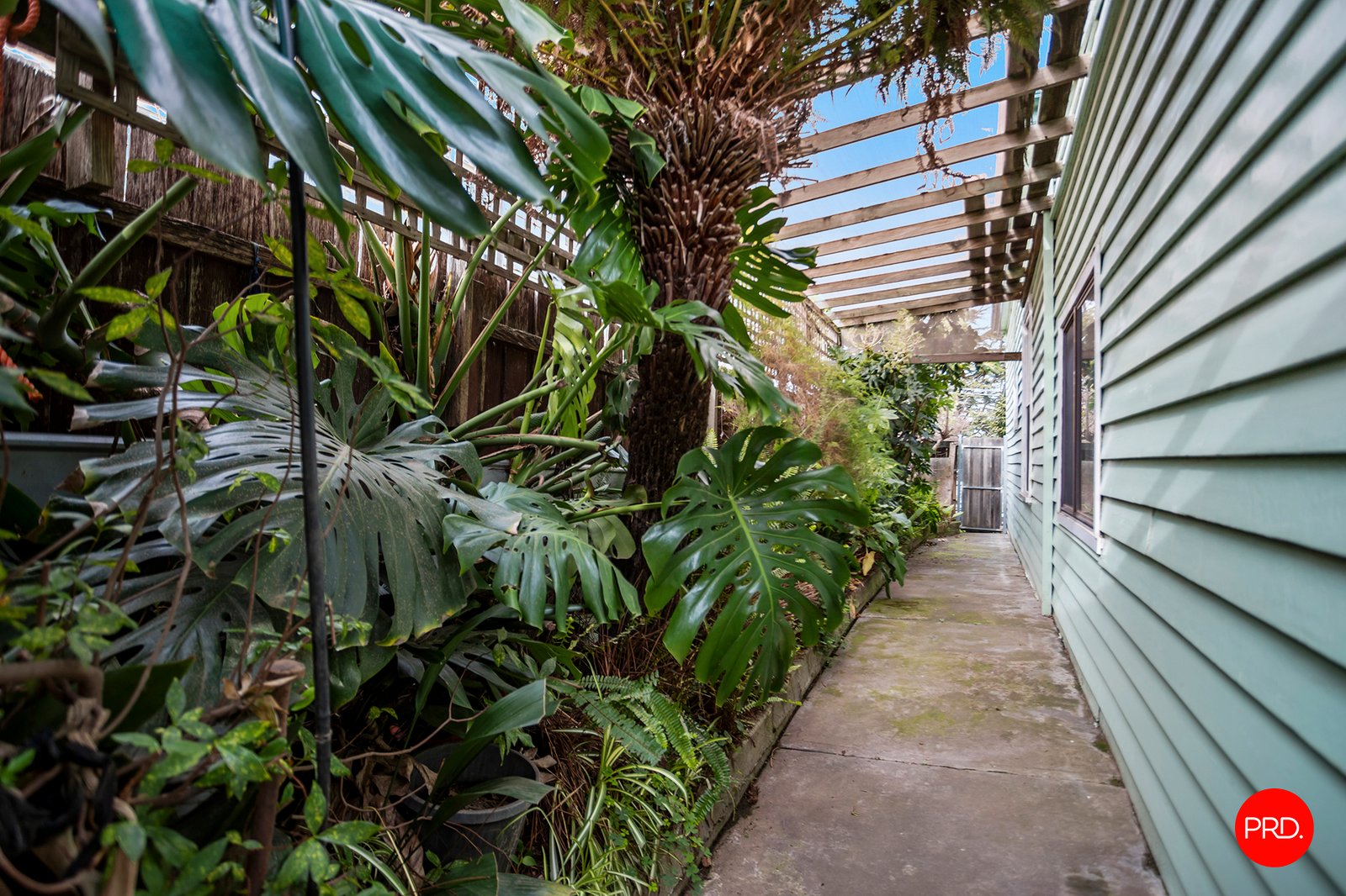 328 Barnard Street BENDIGO 19