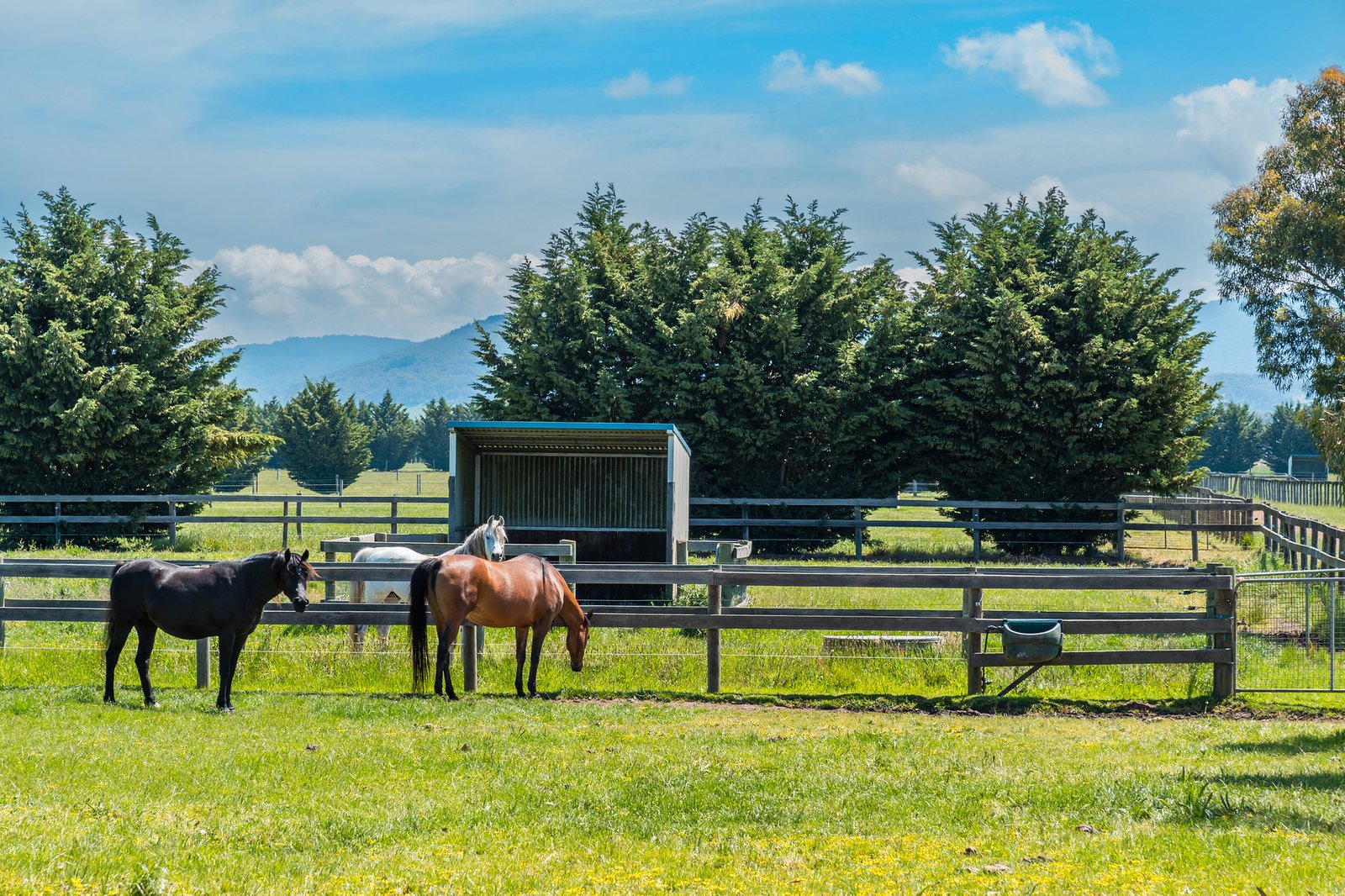 Real Estate and Property in 328 Portingales Lane, Romsey, VIC