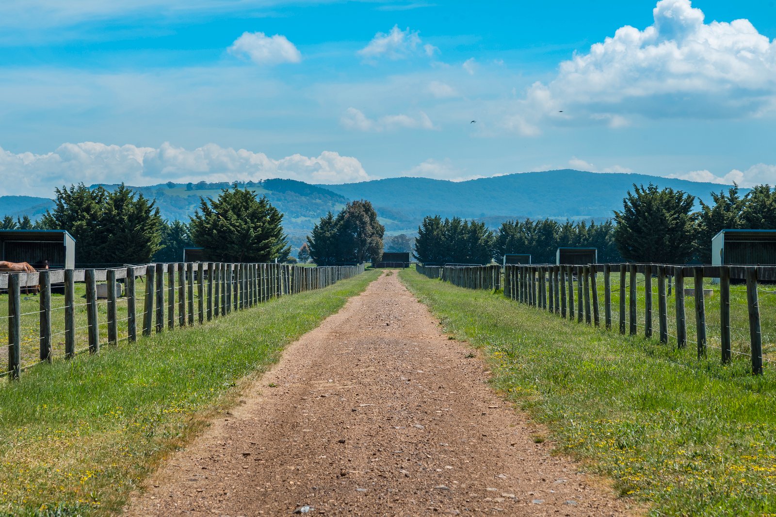 Real Estate and Property in 328 Portingales Lane, Romsey, VIC