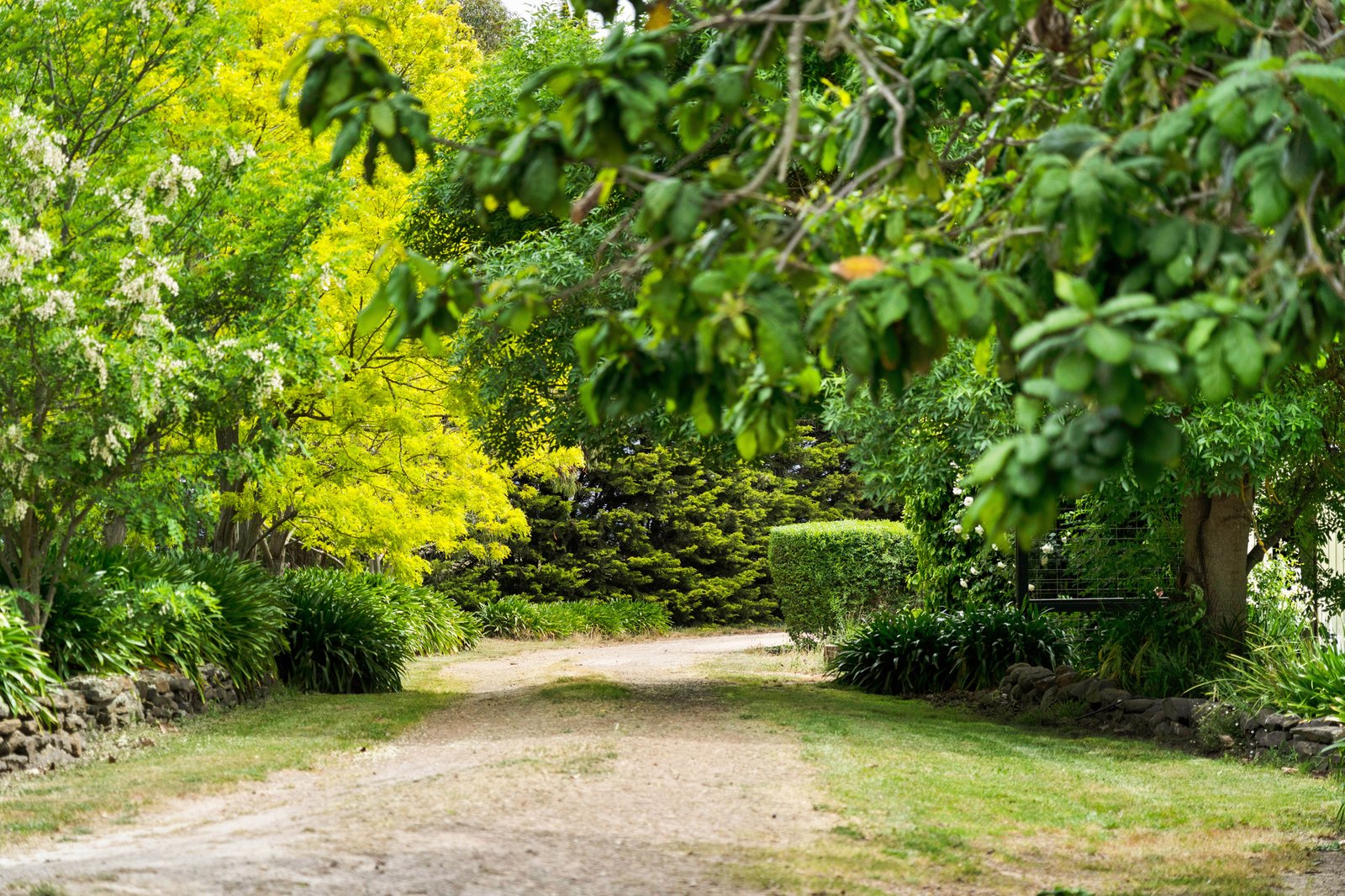 Real Estate and Property in 329 Portingales Lane, Romsey, VIC