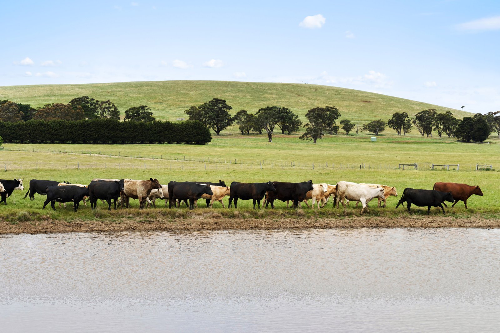 Real Estate and Property in 329 Portingales Lane, Romsey, VIC