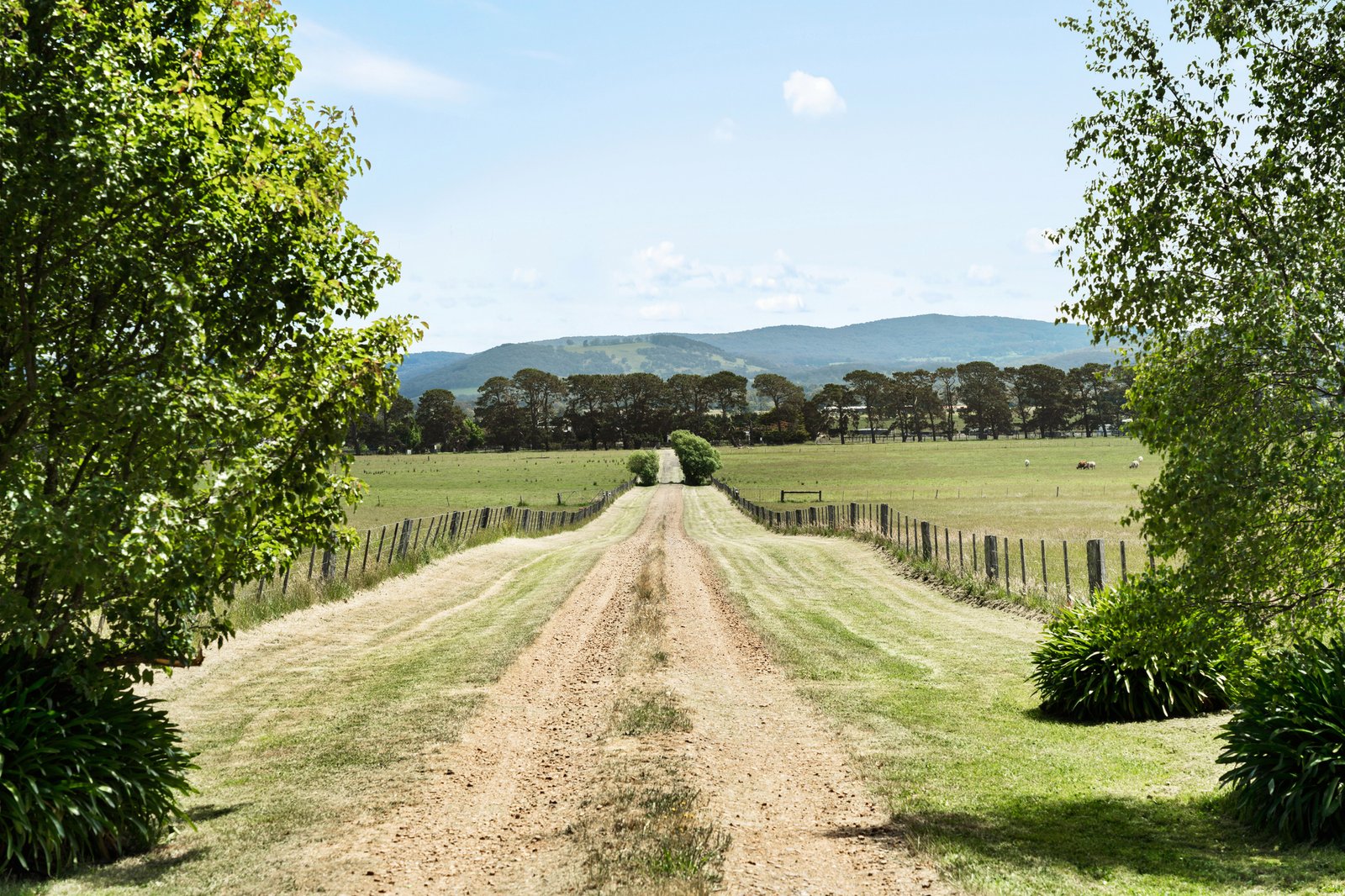 Real Estate and Property in 329 Portingales Lane, Romsey, VIC