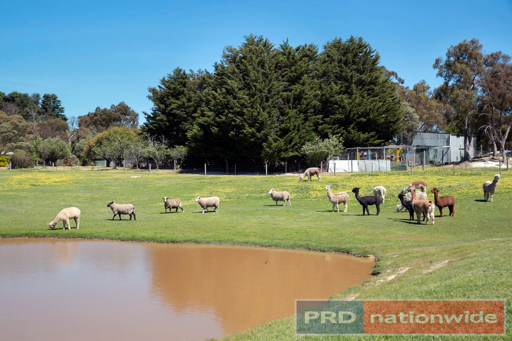 329 Ross Creek-Haddon Road NINTINGBOOL 19