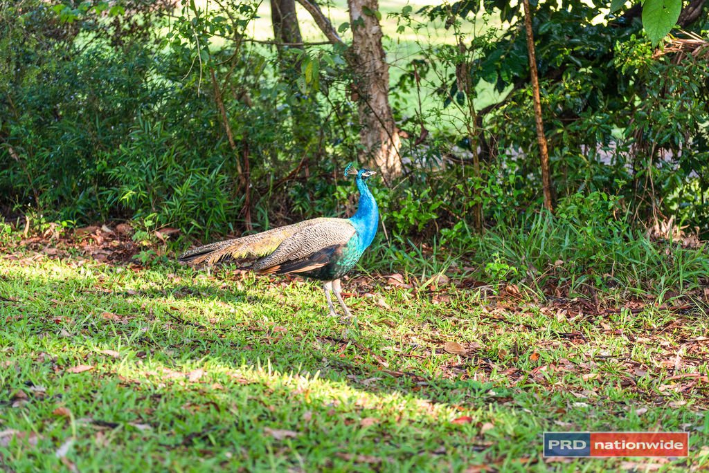 32A Carsons Road NORTH BOAMBEE VALLEY 25