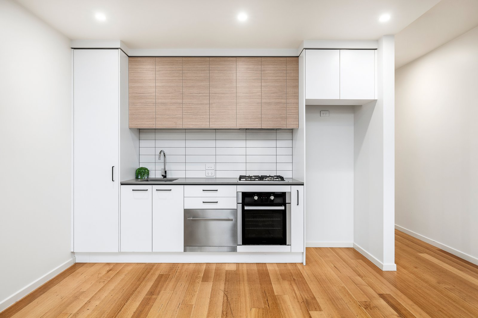 Gallery: 3/2A Newberry Avenue