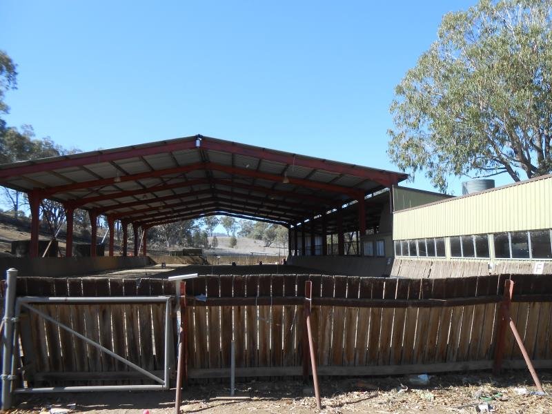 32B Henrys Lane TAMWORTH 7