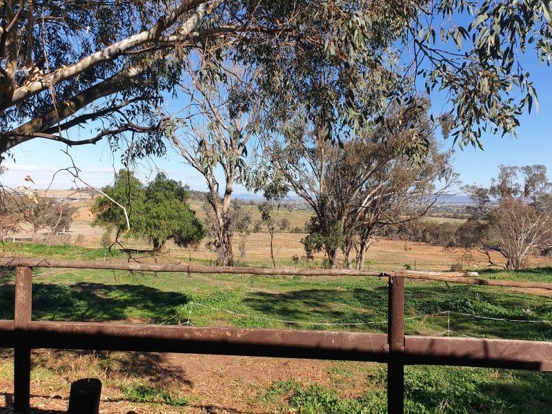 32B Henrys Lane TAMWORTH 2