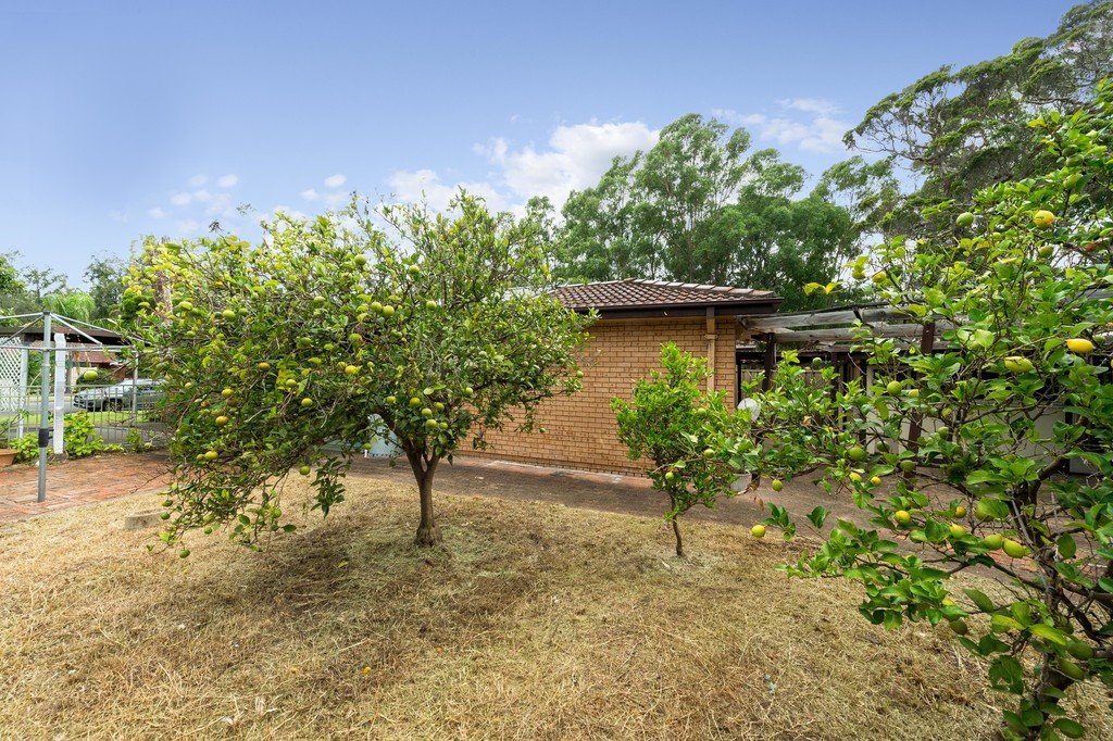 32b Horsley Drive HORSLEY 3
