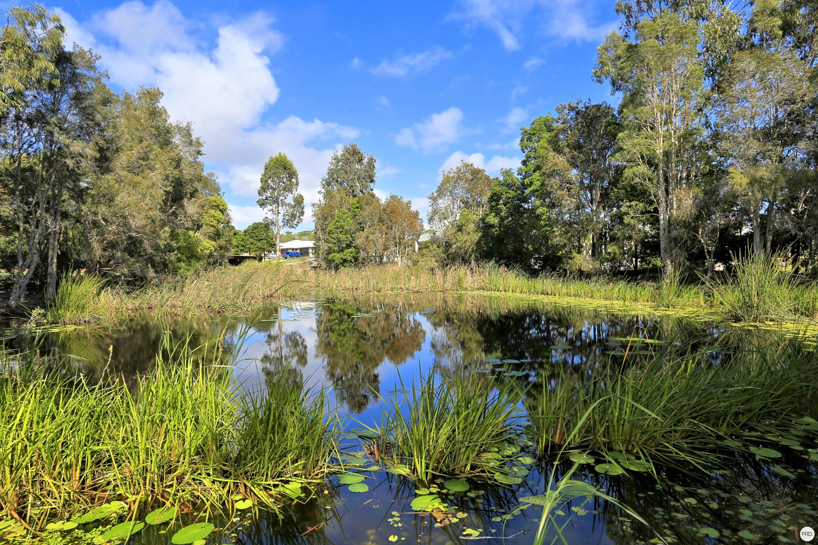 33 Bay Park Road WONDUNNA 20