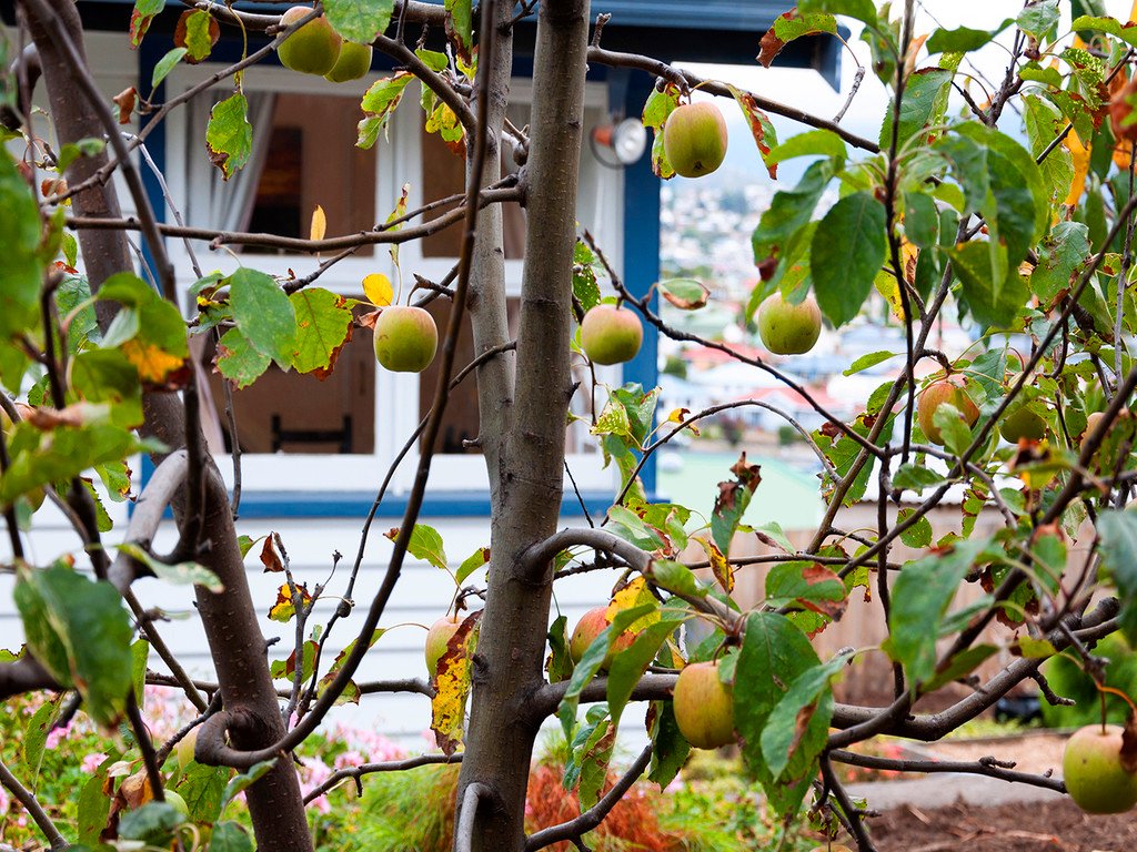 33 Blair Street LUTANA 17