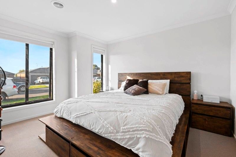 Gallery: 33 Border Collie Close