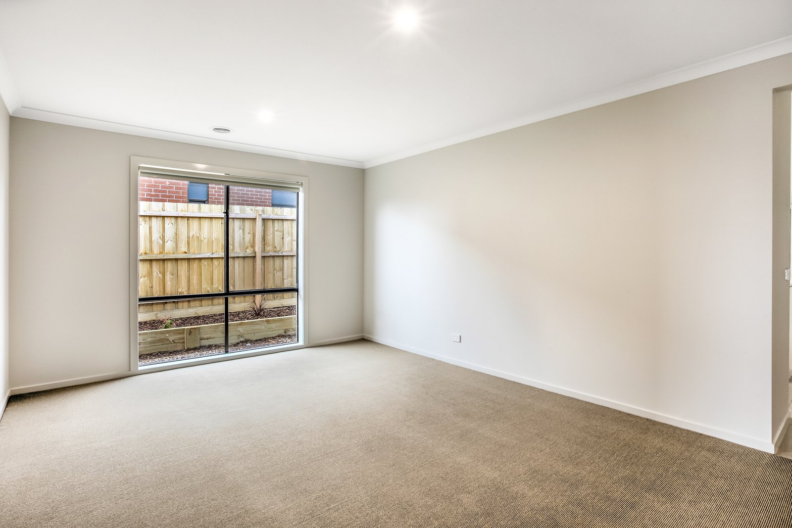 Gallery: 33 Border Collie Close