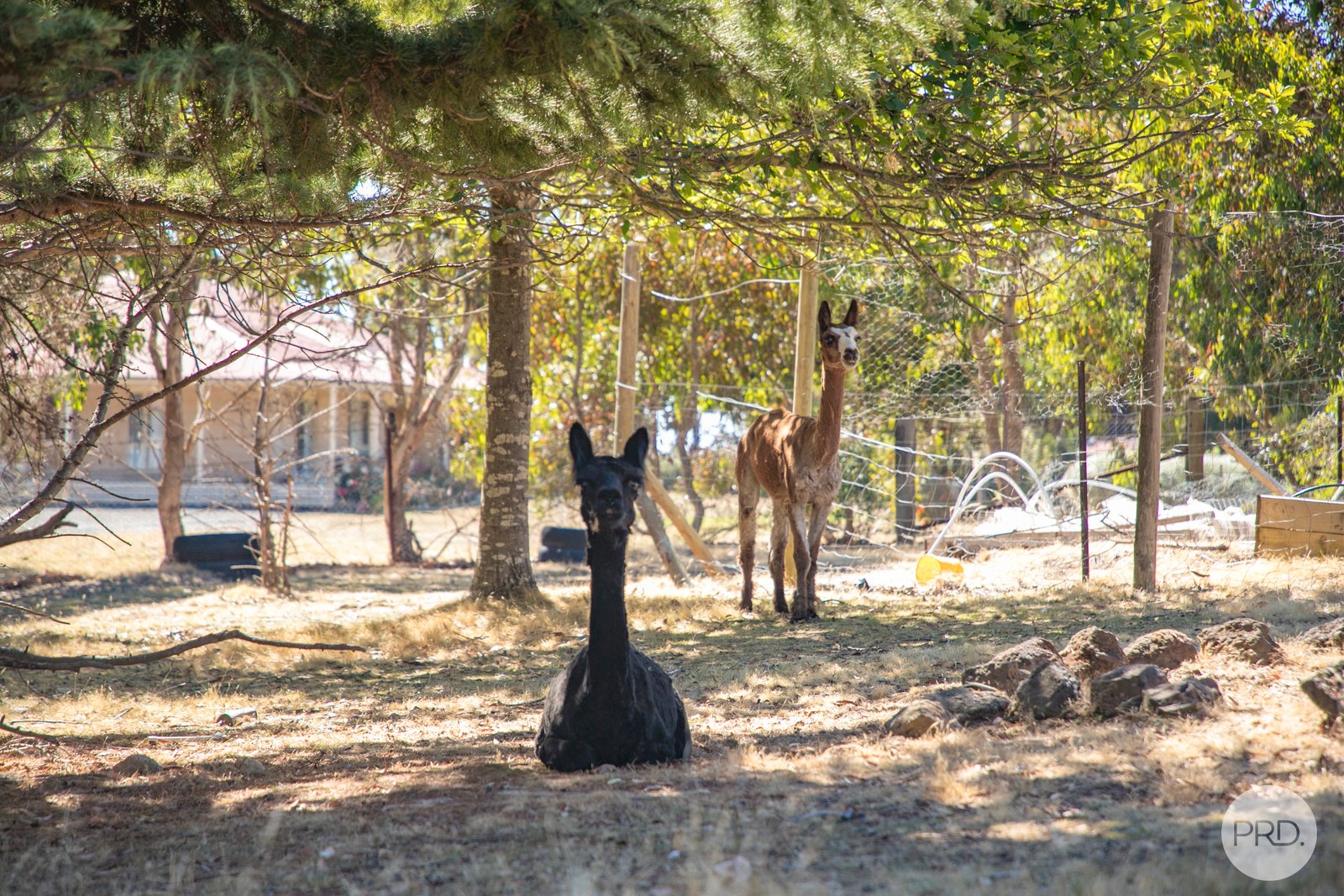 33 Broomfield Store Road BROOMFIELD 13