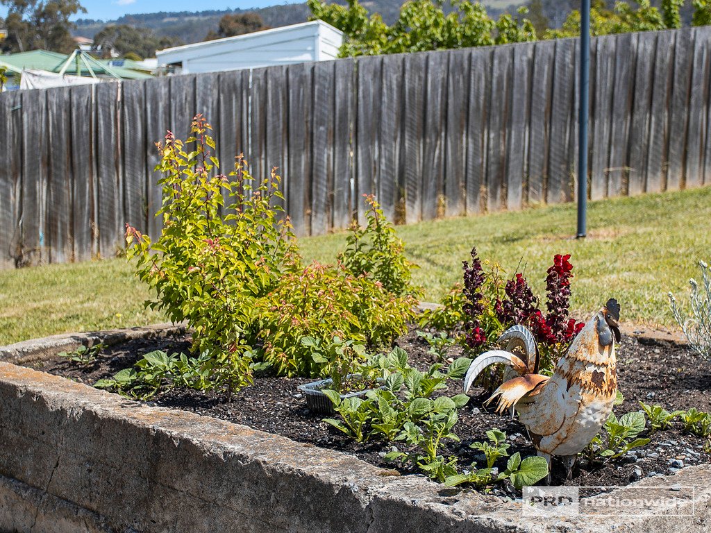 33 Coraki Street CHIGWELL 23